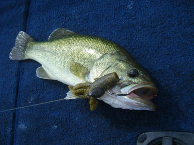 DSCF2951.JPG