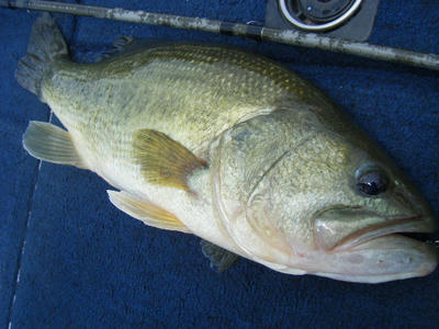 DSCF2955.JPG