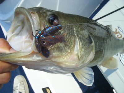 DSCF2995.JPG