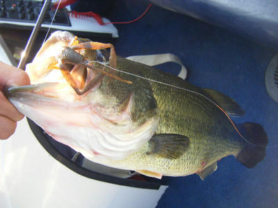 DSCF2989.JPG