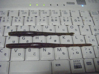 DSCF3005.JPG