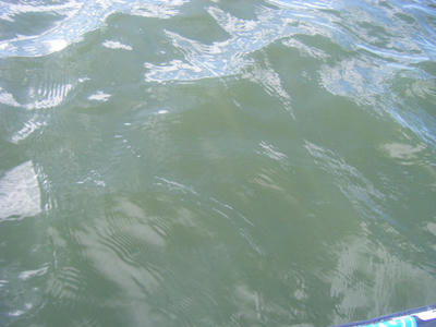 DSCF3016.JPG