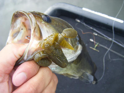 DSCF3015.JPG