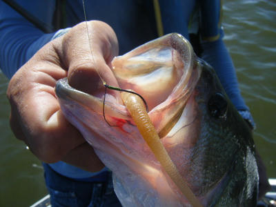 DSCF3030.JPG