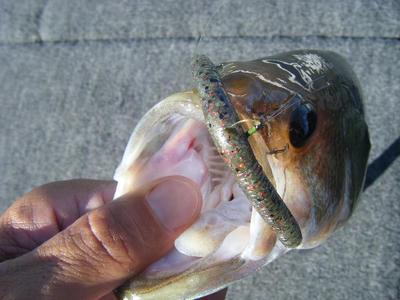 DSCF3036.JPG