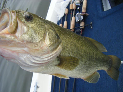 DSCF3057.JPG