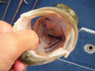 DSCF3056.JPG