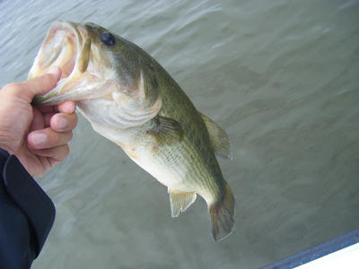 DSCF3082.JPG
