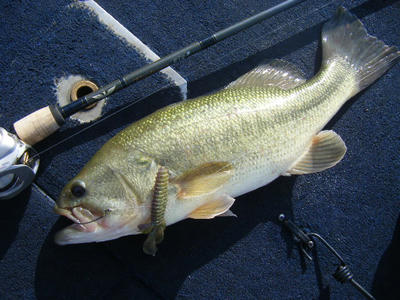 DSCF3114.JPG