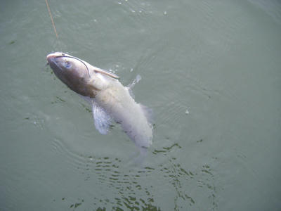 DSCF3215.JPG
