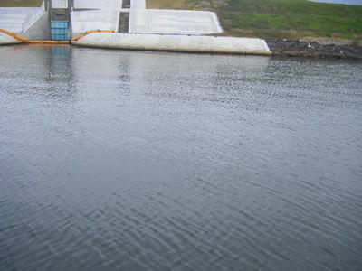 DSCF3207.JPG