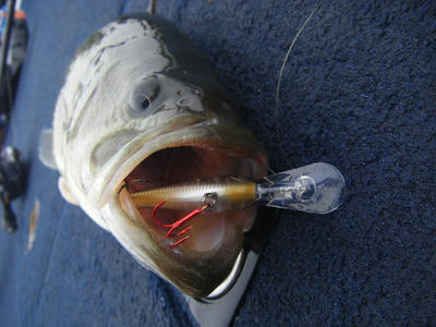 DSCF3256.JPG