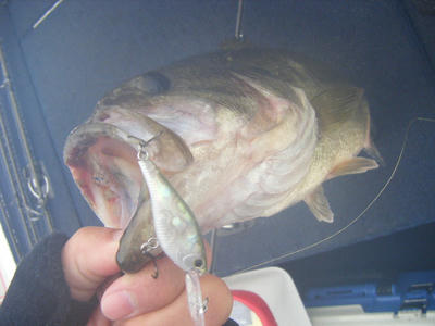 DSCF3254.JPG