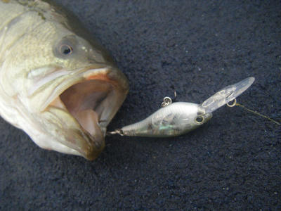 DSCF3250.JPG