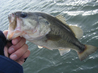 DSCF3281.JPG