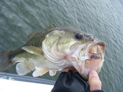 DSCF3278.JPG
