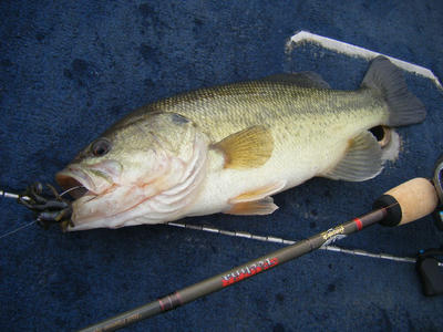 DSCF3638.JPG