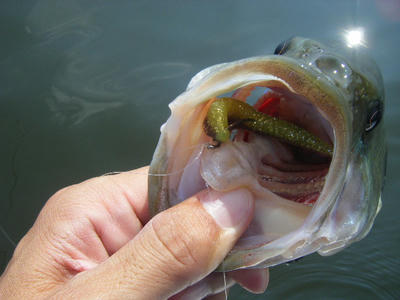 DSCF3702.JPG