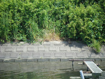 DSCF3698.JPG
