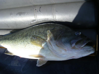 DSCF3653.JPG