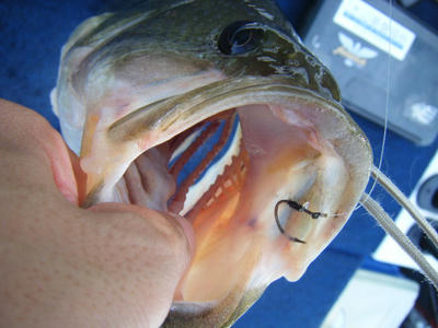 DSCF3731.JPG