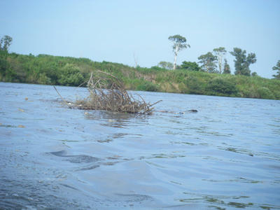 DSCF3777.JPG