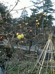 200812311118000.jpg