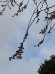 200812311123000.jpg