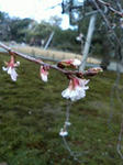 200812311144001.jpg