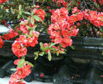 P1000021.JPG