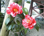 P1000024.JPG