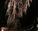 P1000026.JPG