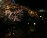P1000027.JPG
