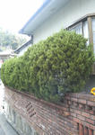 P1000042.JPG