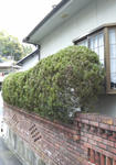 P1000043.JPG