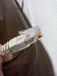 P1000073.JPG