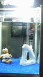 200810242259000.jpg