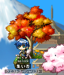 紅葉の木の下で。
