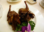 P1000136_m.jpg