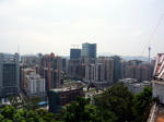 P1000307_m.jpg