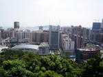 P1000306_m.jpg