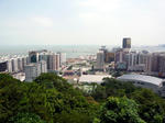 P1000305_m.jpg