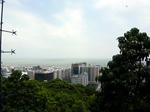 P1000308_m.jpg
