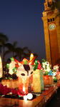 P1000867.JPG