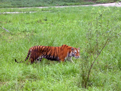 DSCN0262.JPG