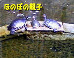 親子