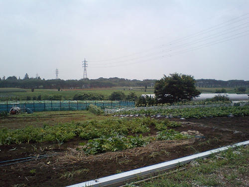 CA3400074.JPG