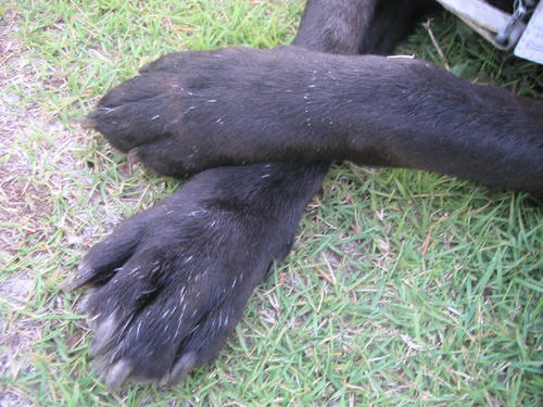 PICT0021.JPG
