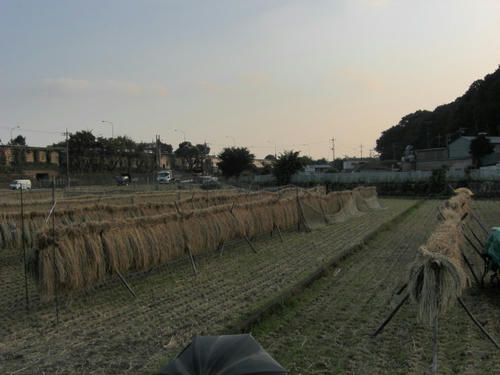CIMG0088.JPG