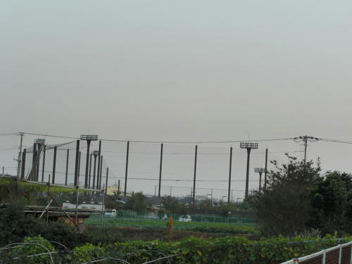 CIMG0110.JPG